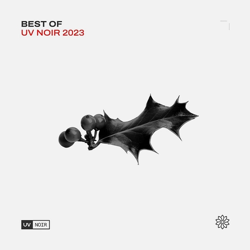 VA - Best Of UV Noir 2023 [UVNBO2023]